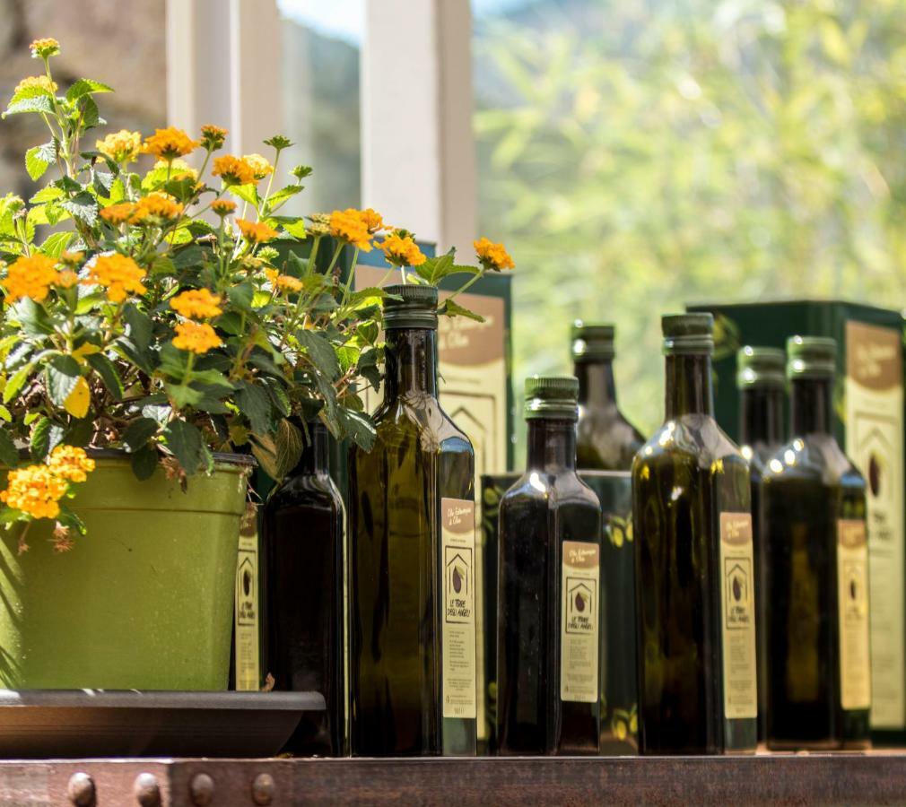 Agriturismo Terre Degli Angeli بيترا ليغوري المظهر الخارجي الصورة
